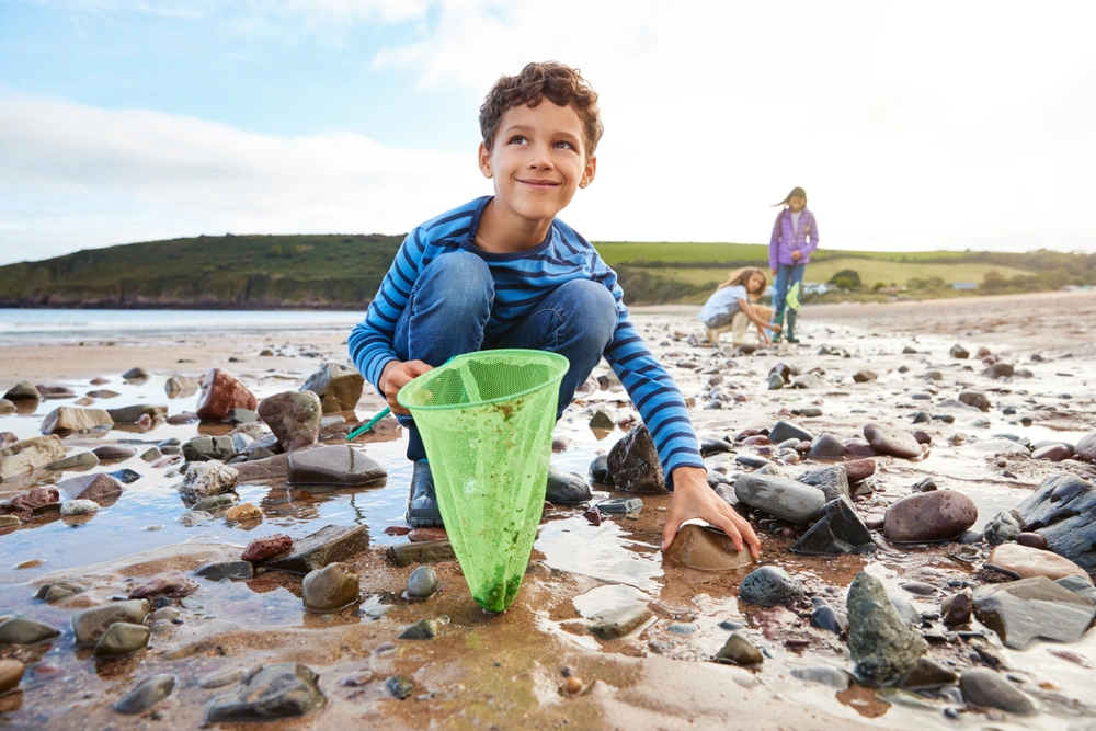 Child exploring tide pools on the beach